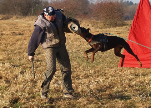 The christmas training 27.12.2006